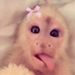 ᴍɪʀᴀ✰