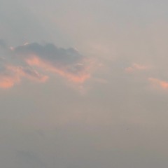 all