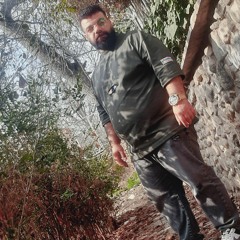 arminzahedi