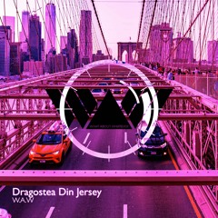 W.A.W What About Whatever