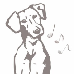 The Sound Sniffer