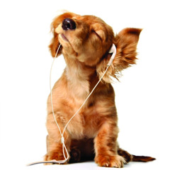 music