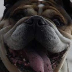 Diego Exposito