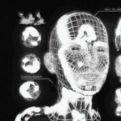 Schizer. An Virtual Function Of A Free Will