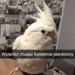 Da Ek