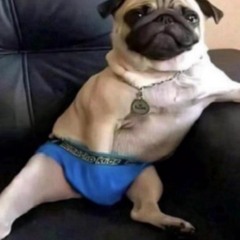 Narbo_