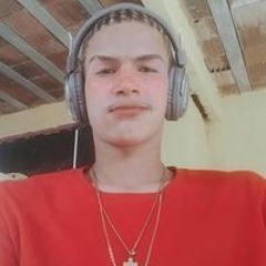 Gb Fox