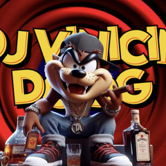 DJ VINICIN DO DG ✪