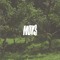 Mot