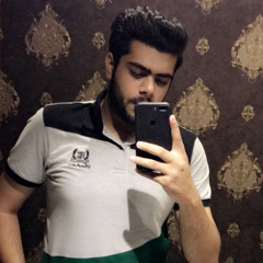 Ahmad Ansari