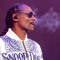 dj moosnoop