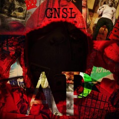 G.N.S.L Trel Ap