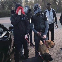 D3vv