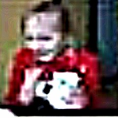 🕷🕸HolowKnightFan💮🐝