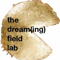 the dream(ing) field lab