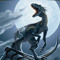 ChaoticArtic