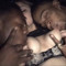 Lxgend