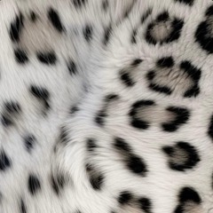 omggcartier