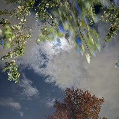 𝙨𝙝4𝙪𝙣𝙬𝙞𝙩𝙖4