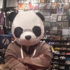 Dj Echo Panda