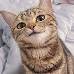 CASSI