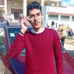 Hady Ashraf