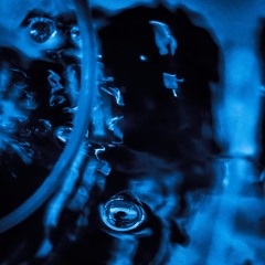 The Monster CoLLectOr