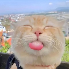 Hoangg Anhh