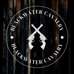 Travelin' Soldier (Cover)
