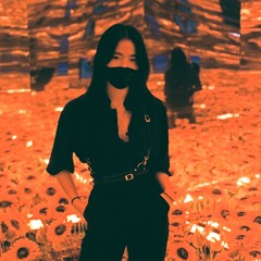 Hai Nhu Pham