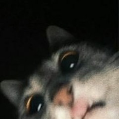 འཇིགས་མེད་ བསྟན་འཛིན་ དབང་ཕྱུག།