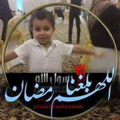 السيد فراج