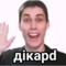 FIMOZ фэмили