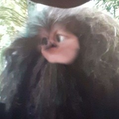 King Hagrid