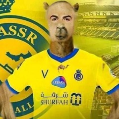 luiz_z210