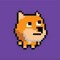 8BitDoge