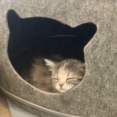 Akie