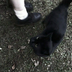 ghala