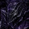 NOOB SAIBOT
