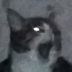 taqirooo