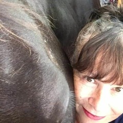 me and my horse
