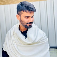hassan mehdi