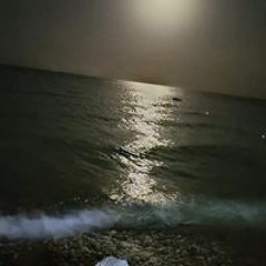 البحار السويسى