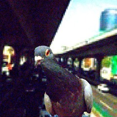 Sinfonía de unextraño