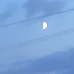 Dancing,grass and tea