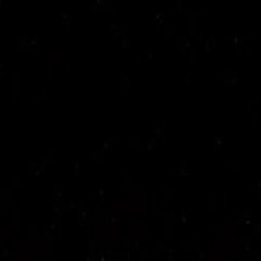 анюта шишкина