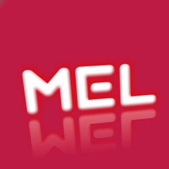 MEL COMPANY