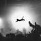 playlist collective