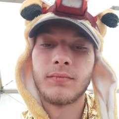 Sachotekno