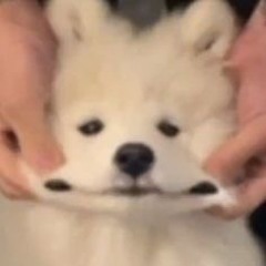 박예빈